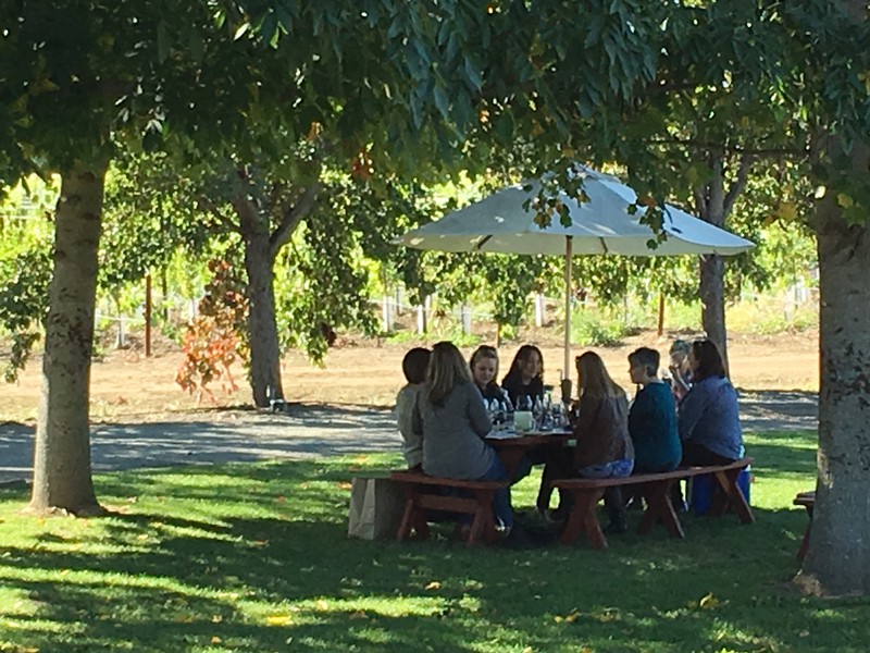 Guests drinking wine at our tasting room