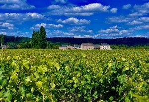 View in Bordeaux