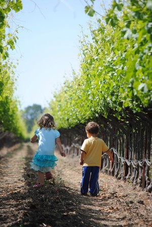Children running through the Fortunati estate vineyard