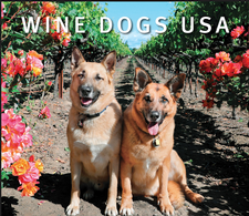 Accessory-Wine Dogs California Book