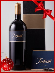 2018 Fortivo Magnum Gift Set