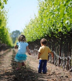 Kids in the vineyard at Fortunati Vineyards